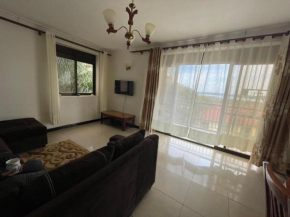 Kim luxury Buziga apartment